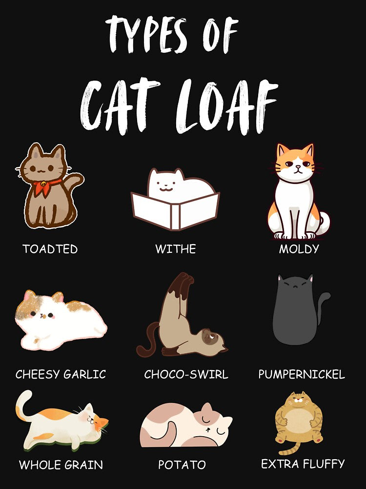 Types Of Cat Loaf Cat Bread Funny Cat Lover Womens Kids Boys T-Shirt by Hi-Brother