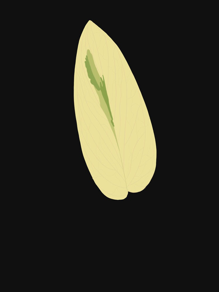 Standleyana Monstera by LilyDaug