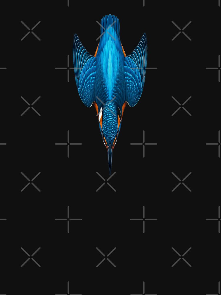 Kingfisher in Vertical Dive by jamesgerardking
