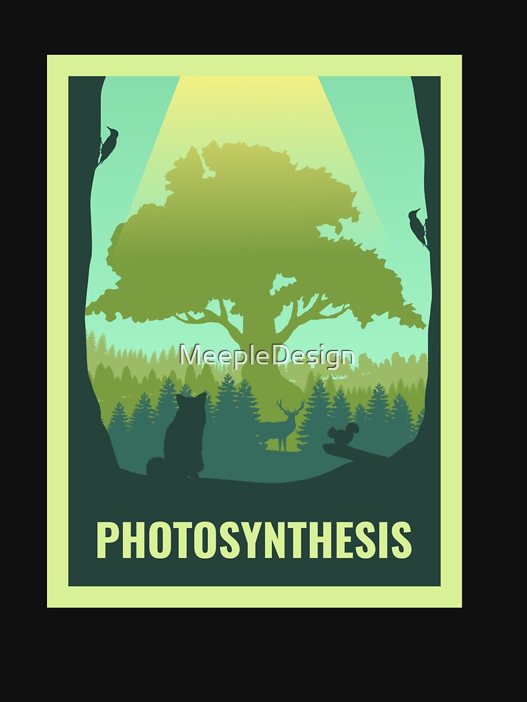 Photosynthesis - Board Games - Minimalist Travel Poster Style - Board Game Art by MeepleDesign