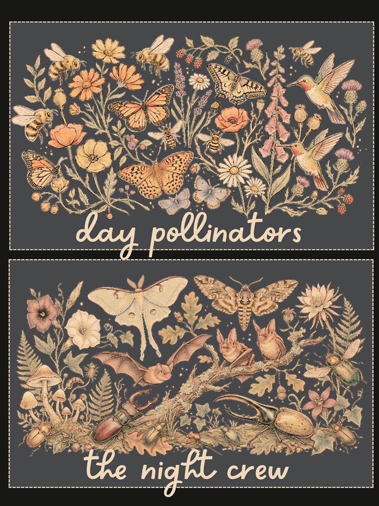 The Pollinator’s Cycle | Day & Night Nature Chart by Reverie & Roses
