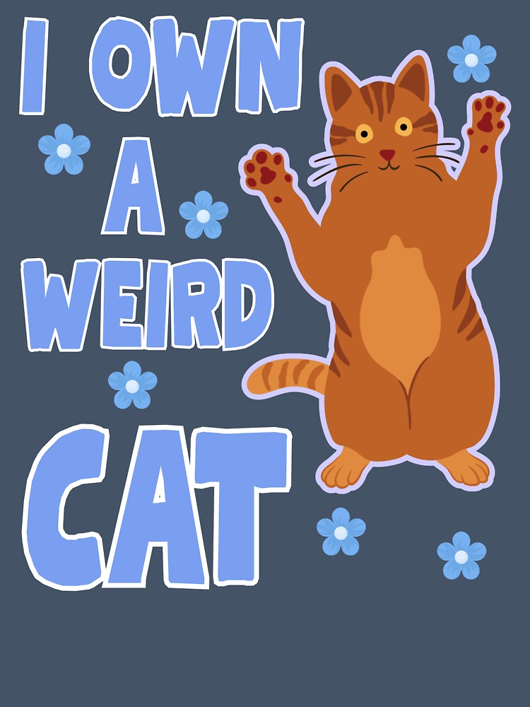 I own a weird cat, crazy ginger cat by BritishDelights