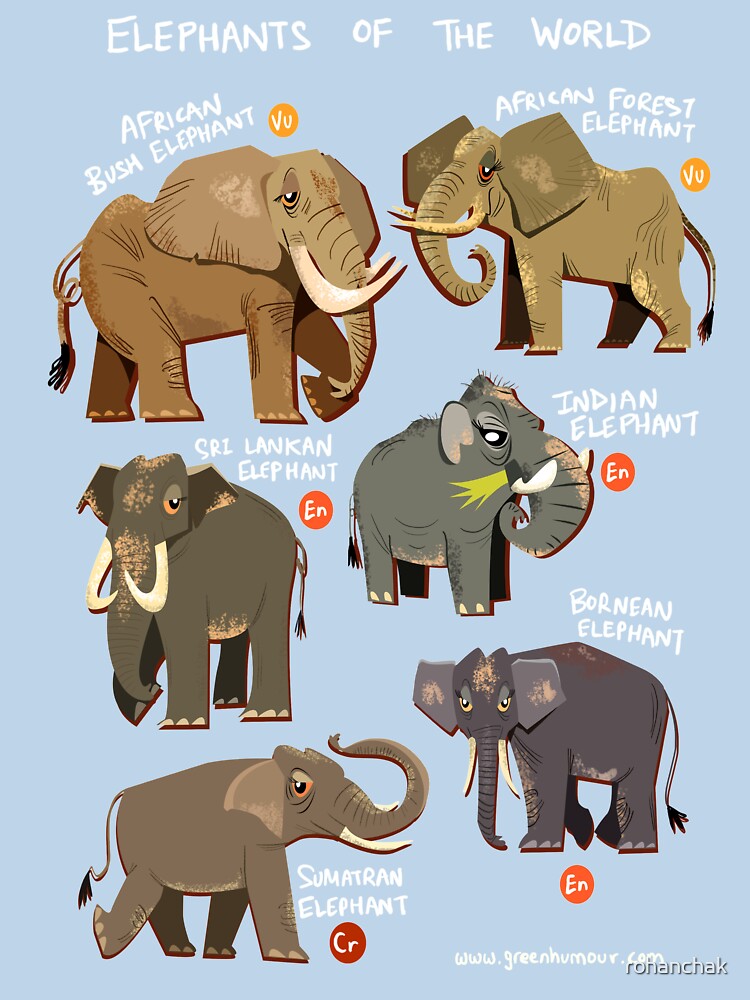 Elephants of the World by Green Humour