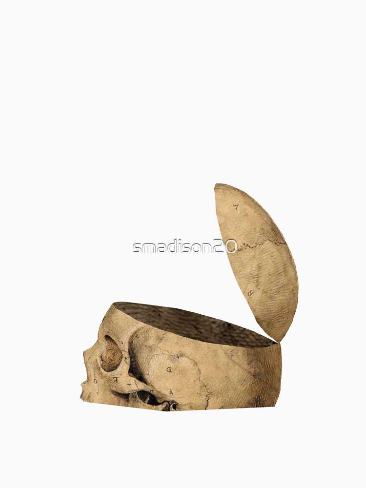 Open Skull by smadison20