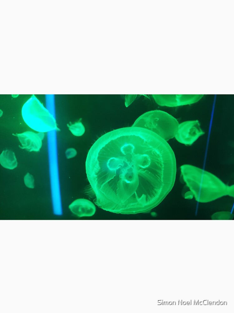 Green Jellyfish by Simon McClendon