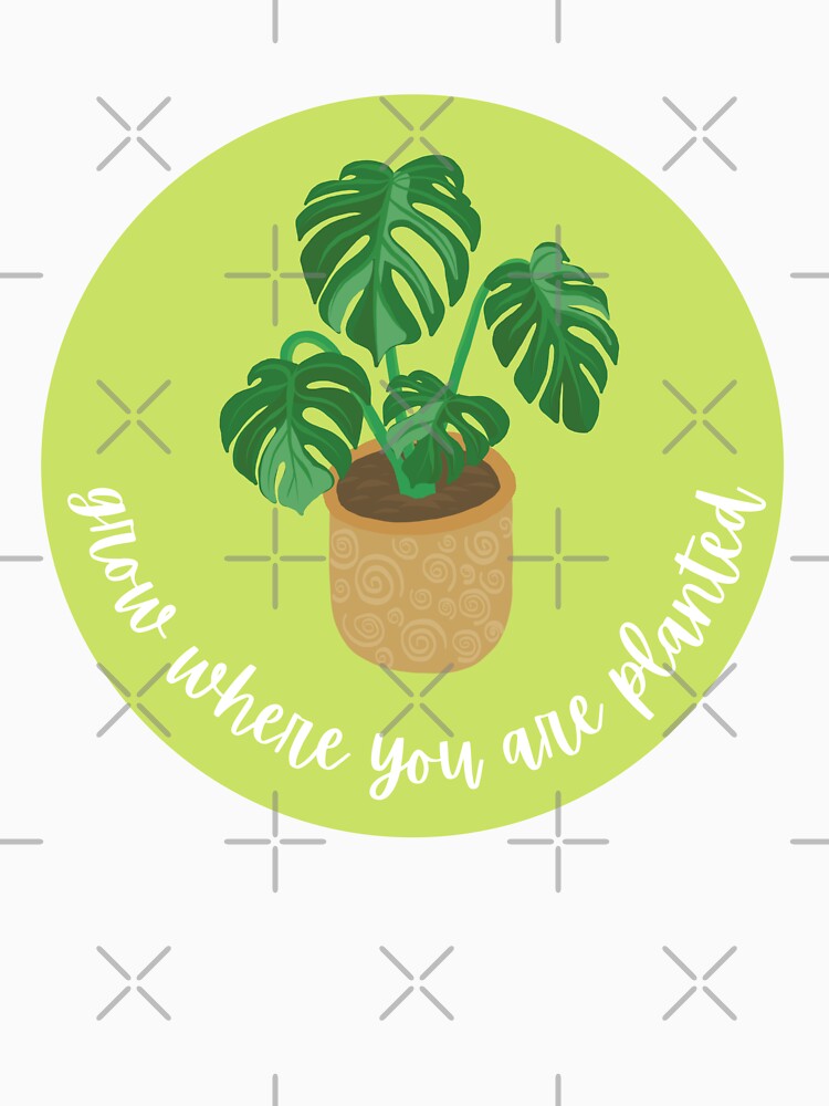 Grow Where You Are Planted (Monstera) by ami.creations