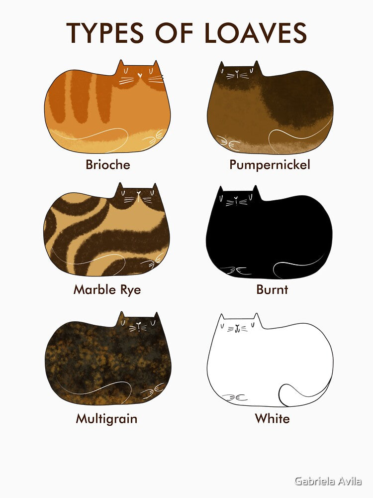 Cat Loaf by poket.piktures