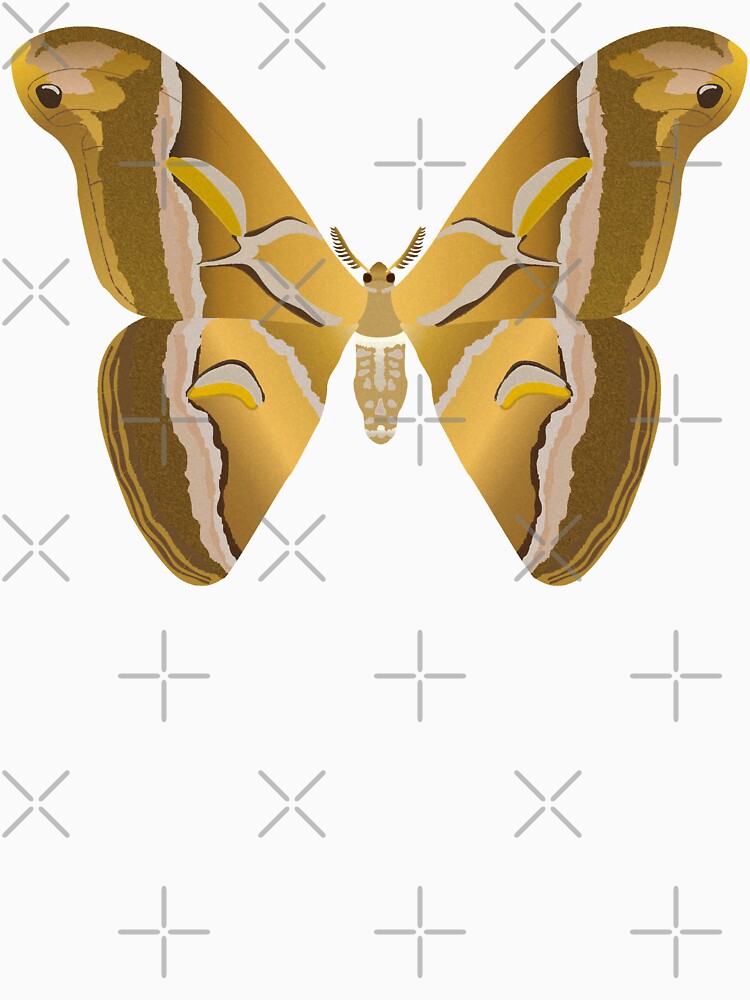 Cynthia Moth by CometMothArt