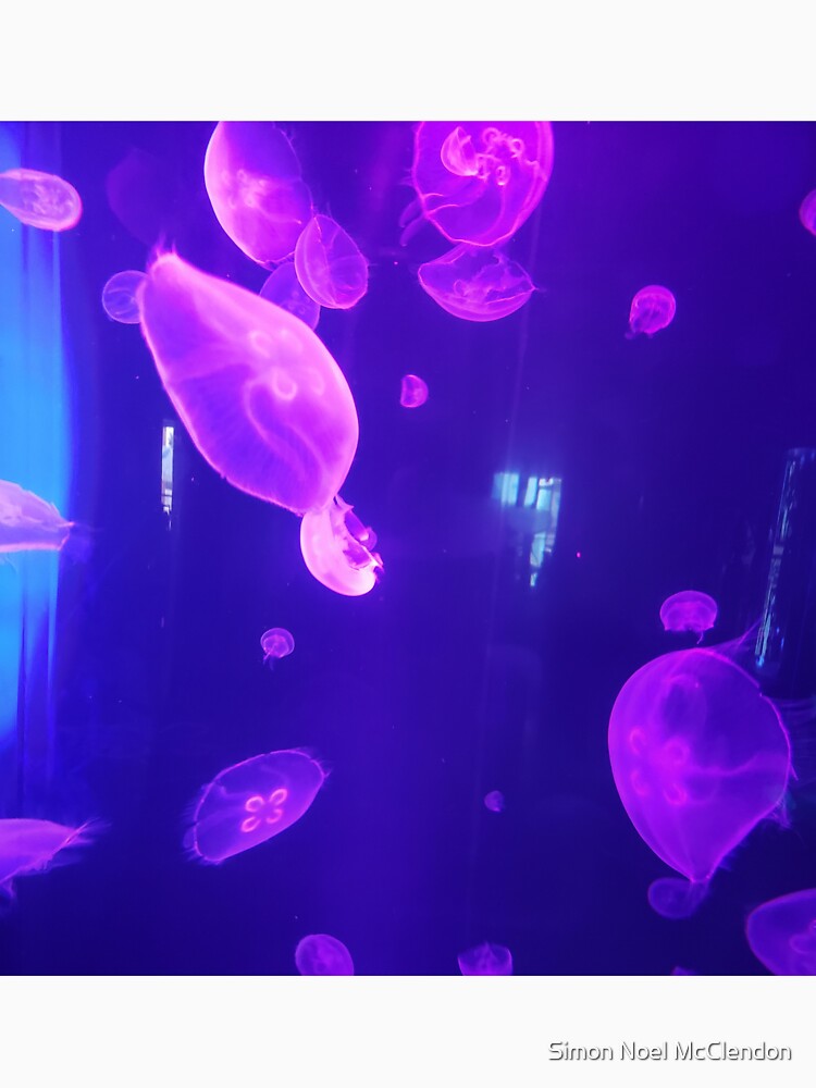 Purple Jellyfish by Simon McClendon