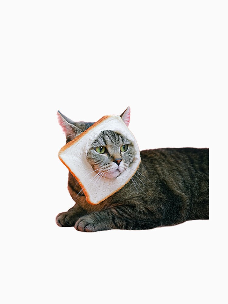 Brown Tabby Cat with Slice of Loaf by Your Favorite Store