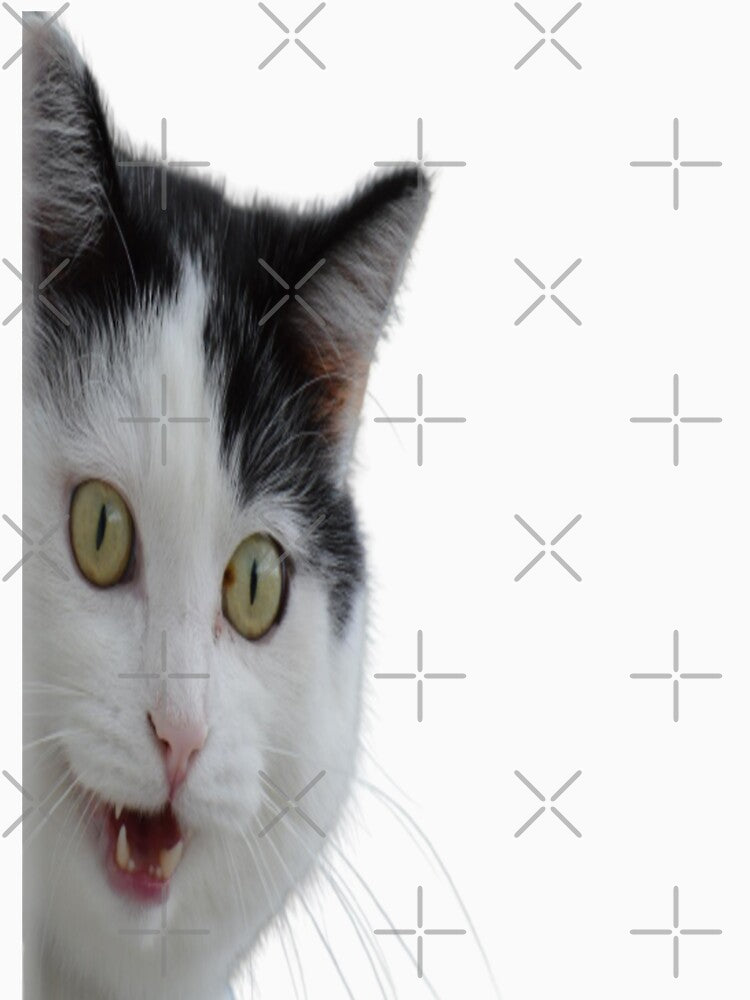 Crazy Cat Lady Meme, Purrfect by Nero9o