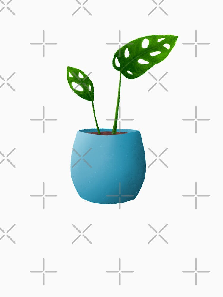 Baby Monstera Adansonii by ColsonC