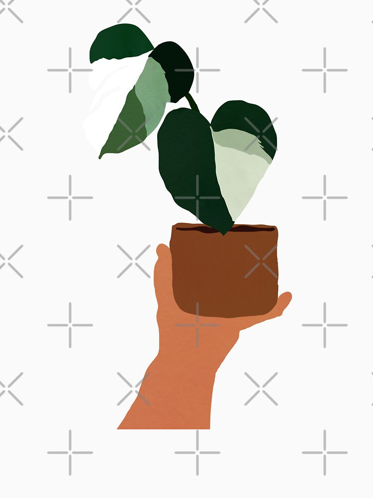 Variegated Monstera by alienrabbit