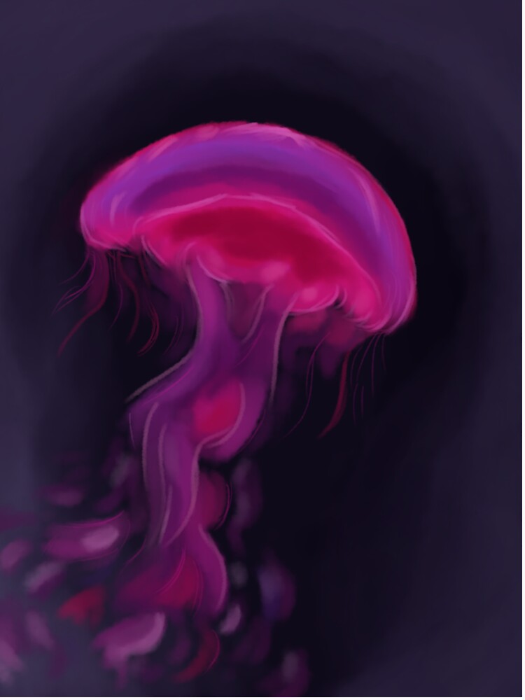 The Jellyfish by TheDoodlingGirl