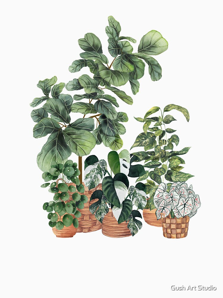 House Plants Illustration 9 by Ana Moguš