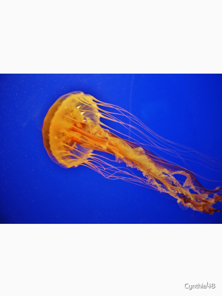 Sea Nettle Jellyfish by Cynthia48
