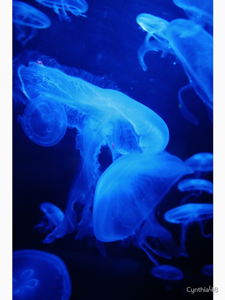 Moon Jellyfish by Cynthia48