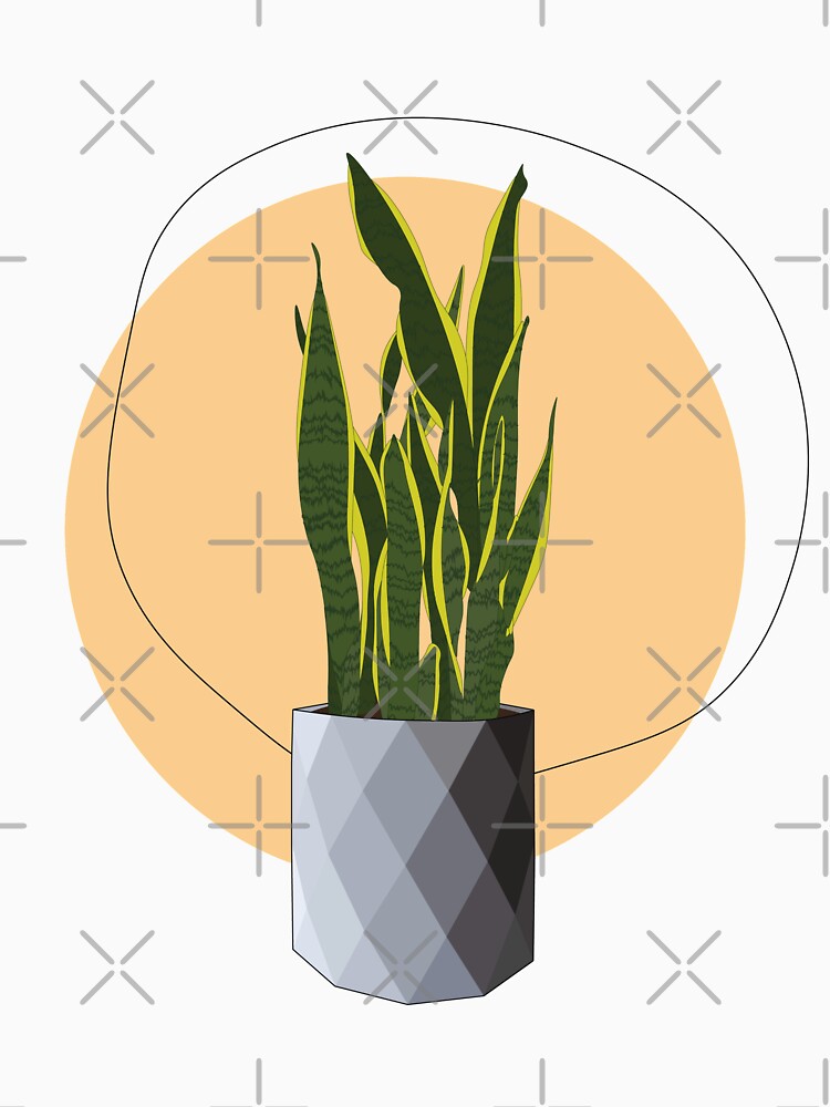 Snake Plant Sol by Cabeza del Sol