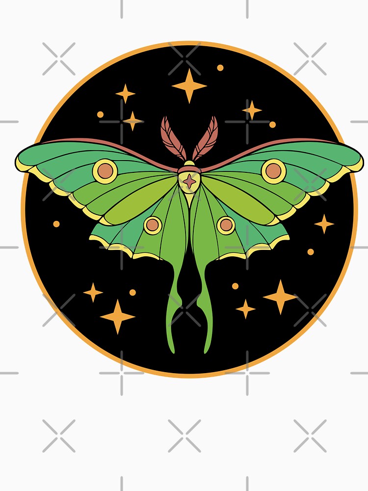 Luna Moth by Erika Vaigel Illustrations
