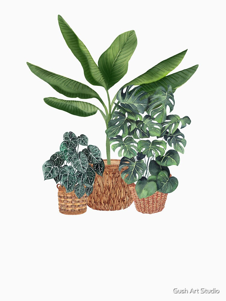 House Plants Illustration 11 by Ana Moguš