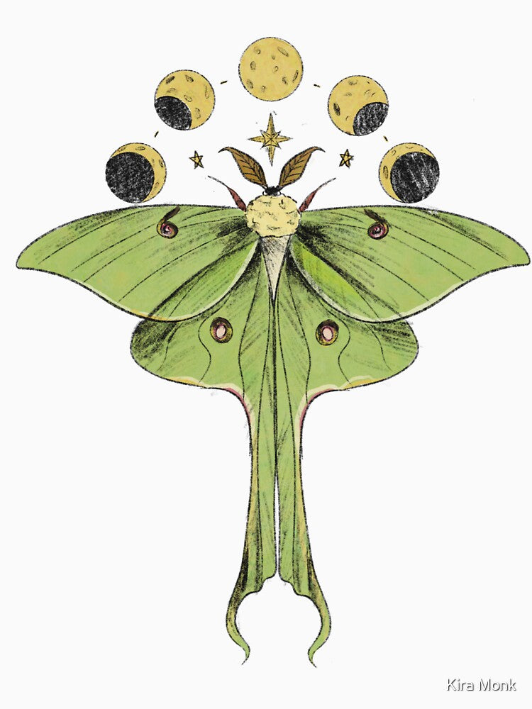 Pretty Luna Moth by Kira Monk