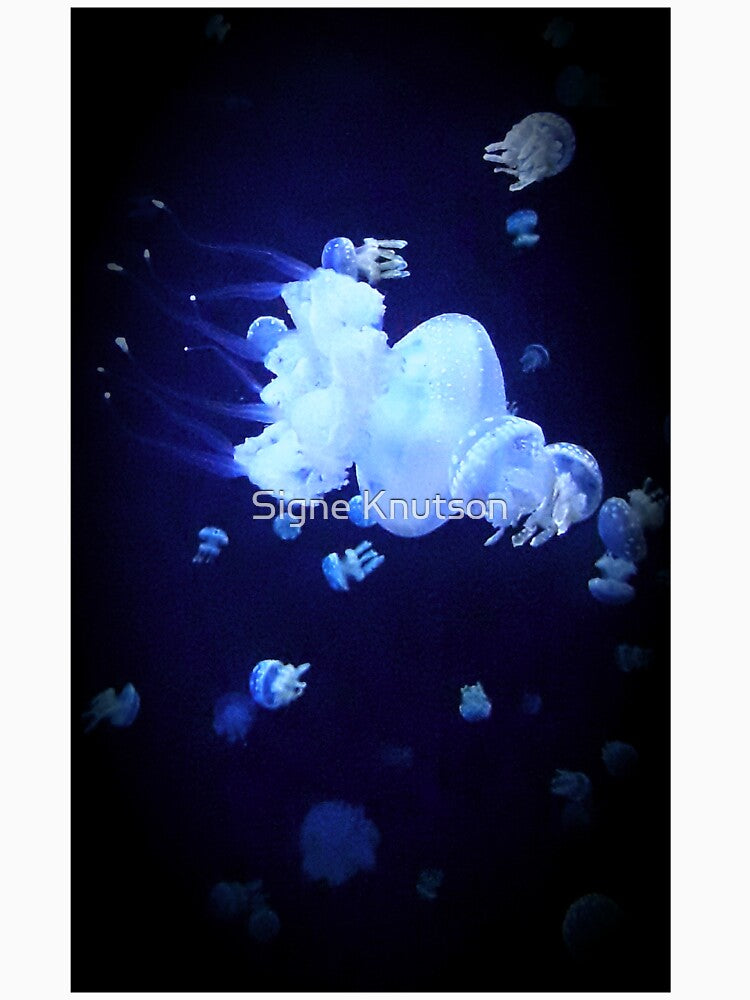 Jellyfish Dance by Signe Knutson