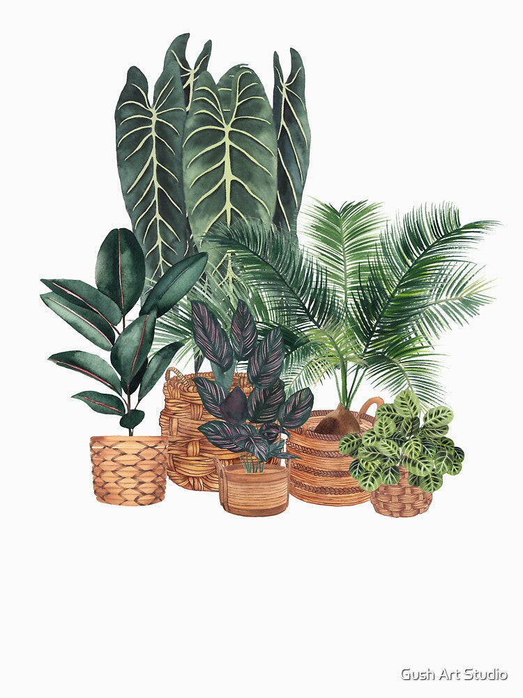 House Plants Illustration 10 by Ana Moguš