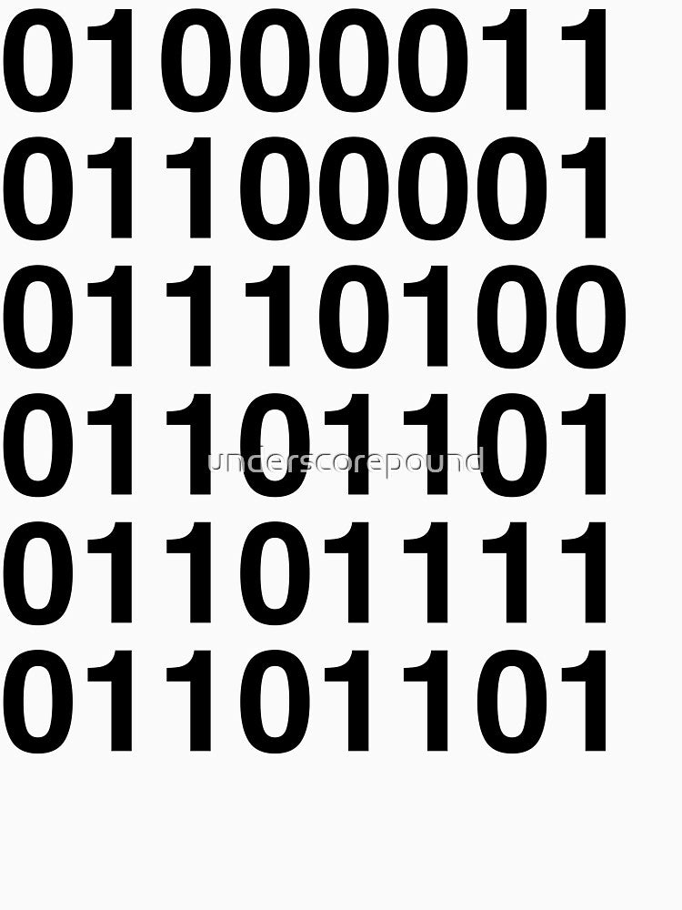 Cat Mom in Binary Code by underscorepound