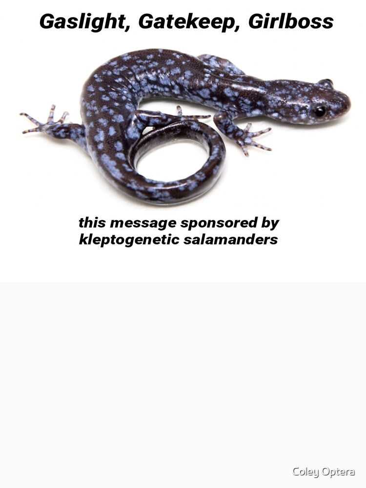Mole Salamander by Coley Optera