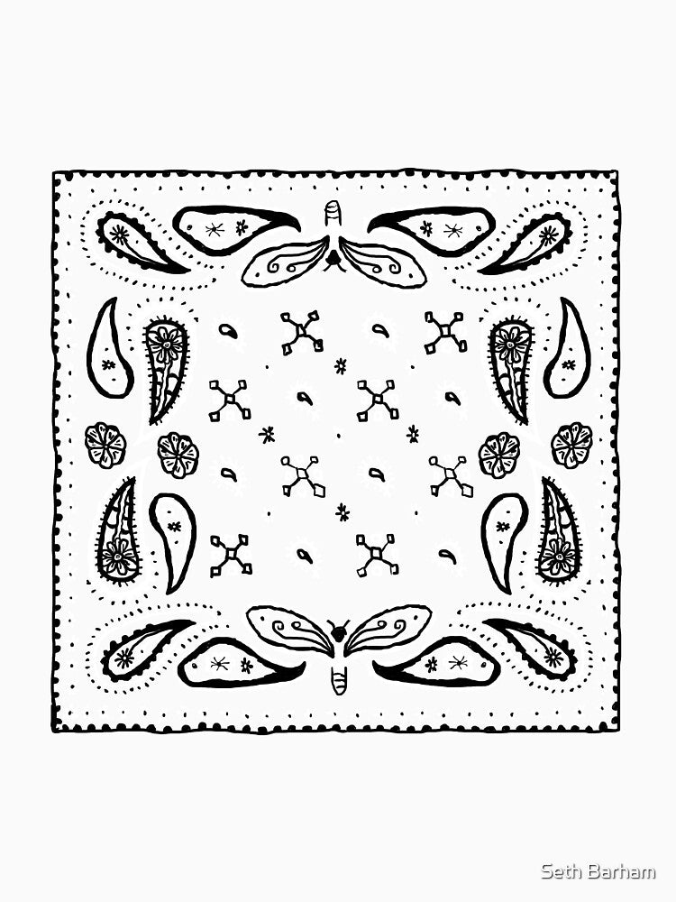 Bandana Paisley Design by Seth Barham