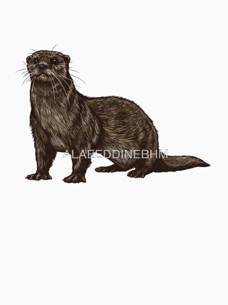 Cute otters by ALAEEDDINEBHM