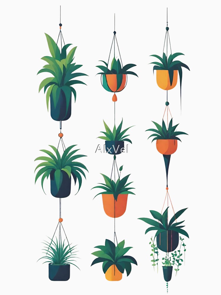 Hanging Indoor Plants Minimalist Illustration by AlxVel