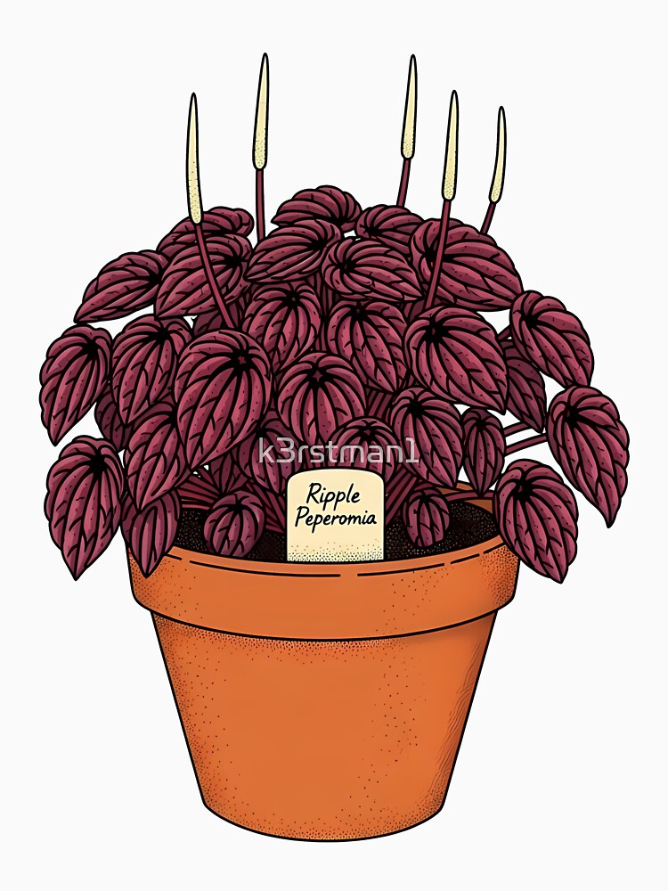 Ripple Peperomia Houseplant Botanical Illustration by k3rstman1
