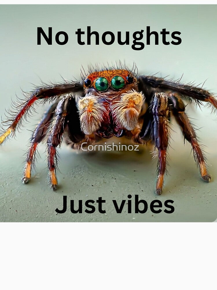 No Thoughts, Just vibes - Jumping spider by Cornishinoz