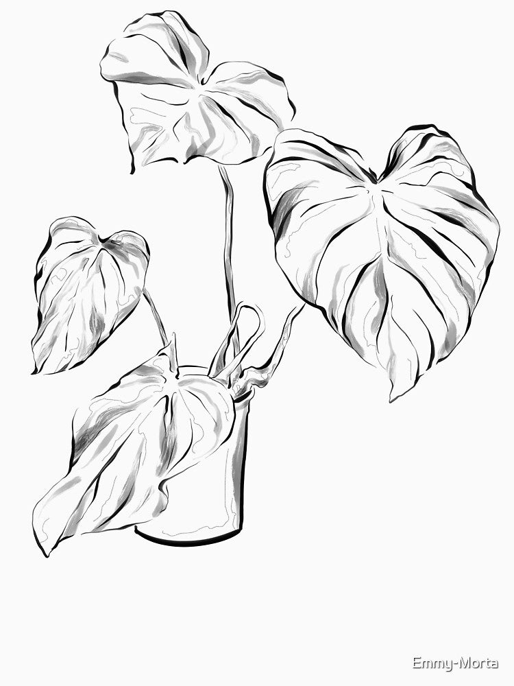 Philodendron Pastazanum | Plant by Emmy-Morta