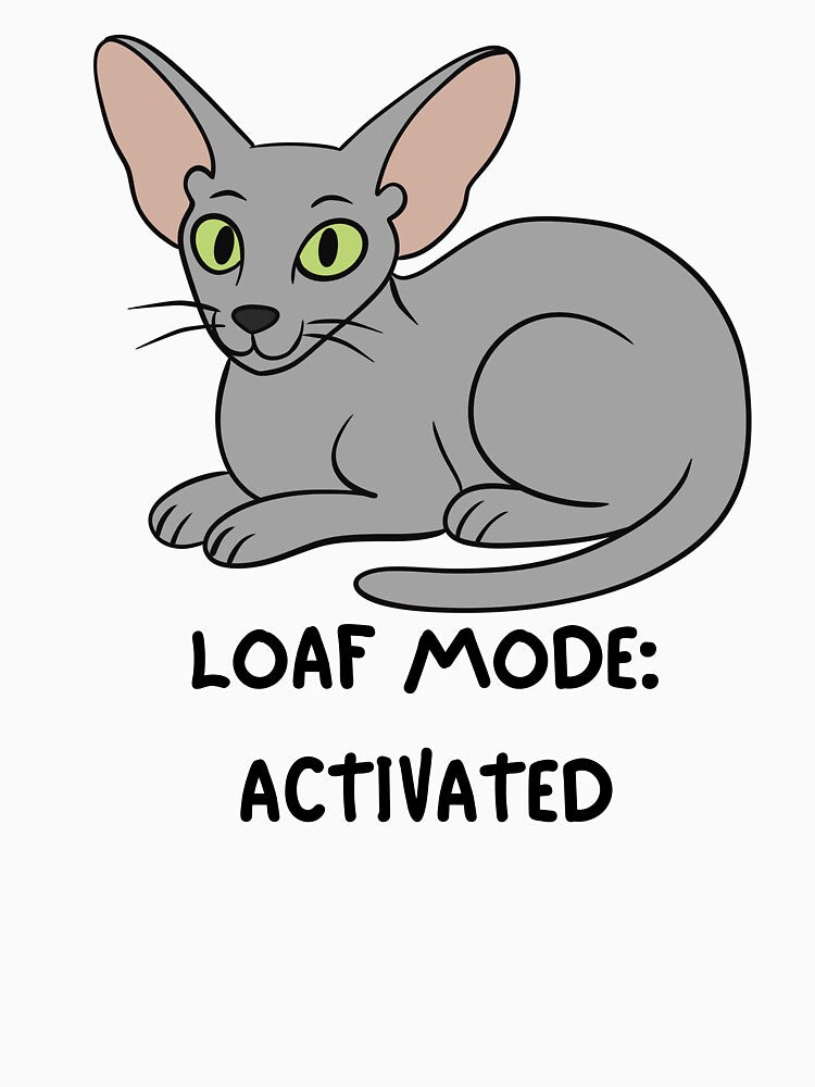 Loaf Mode Activated Funny Oriental Shorthair Cat by suescircus