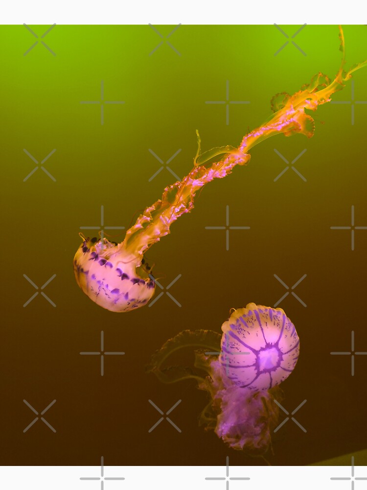 Jellyfish Glow by Pixellina