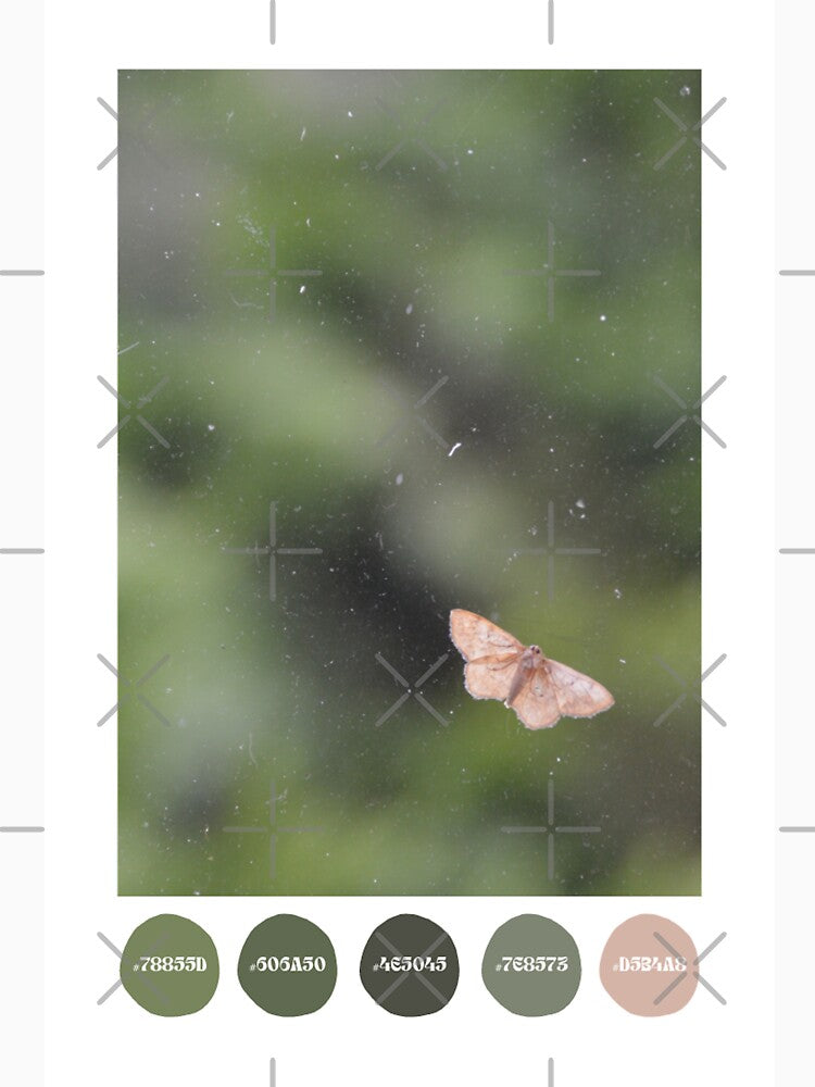 Moth on a Dirty Window Color Palette [Dots] by Tessia Photography