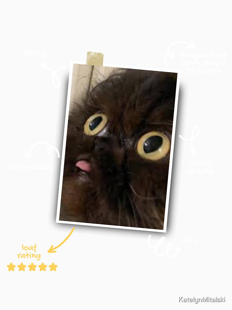 Derpy Cat Excellence: 5-Star Loaf Rating by KatelynMitalski