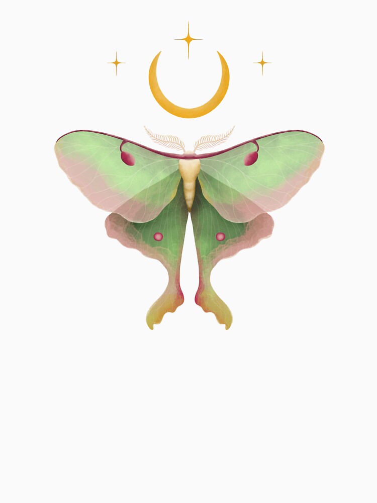 Luna Moth & Crescent Moon by EffyDesign5152