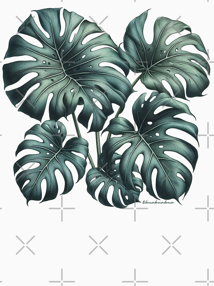 Monstera by BUABUABUA