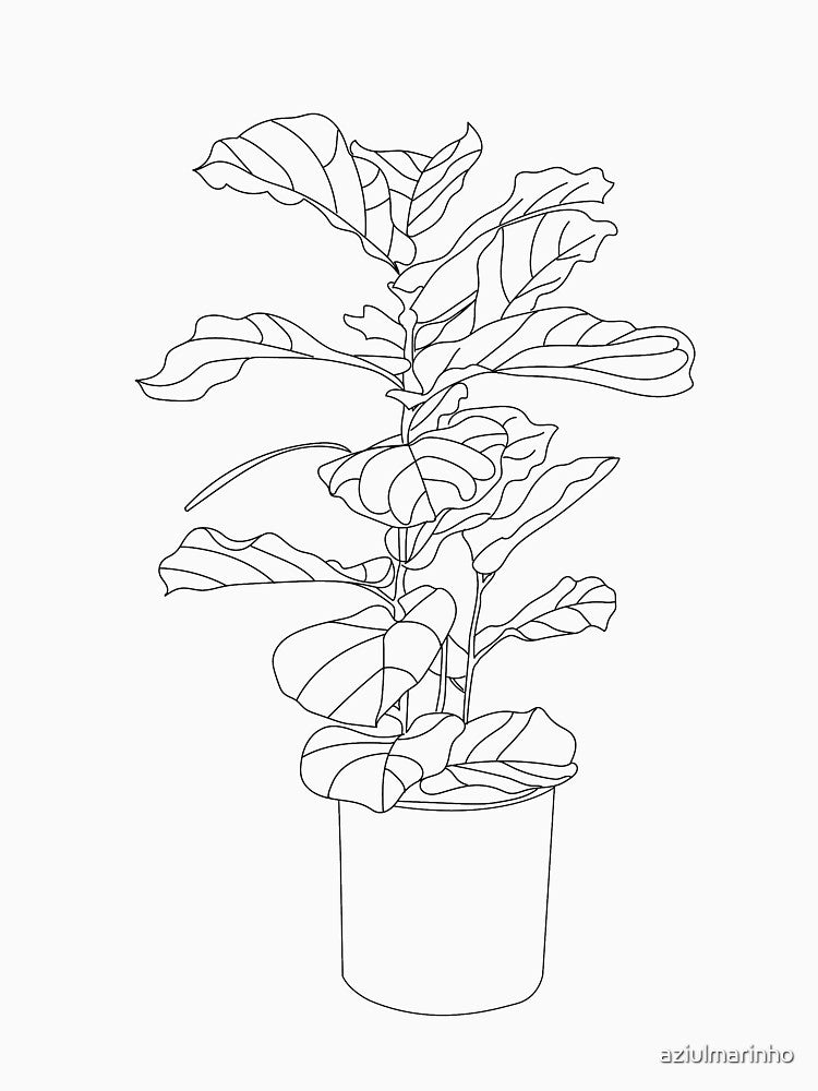 Ficus Lyrata fiddle leaf fig line art by aziulmarinho