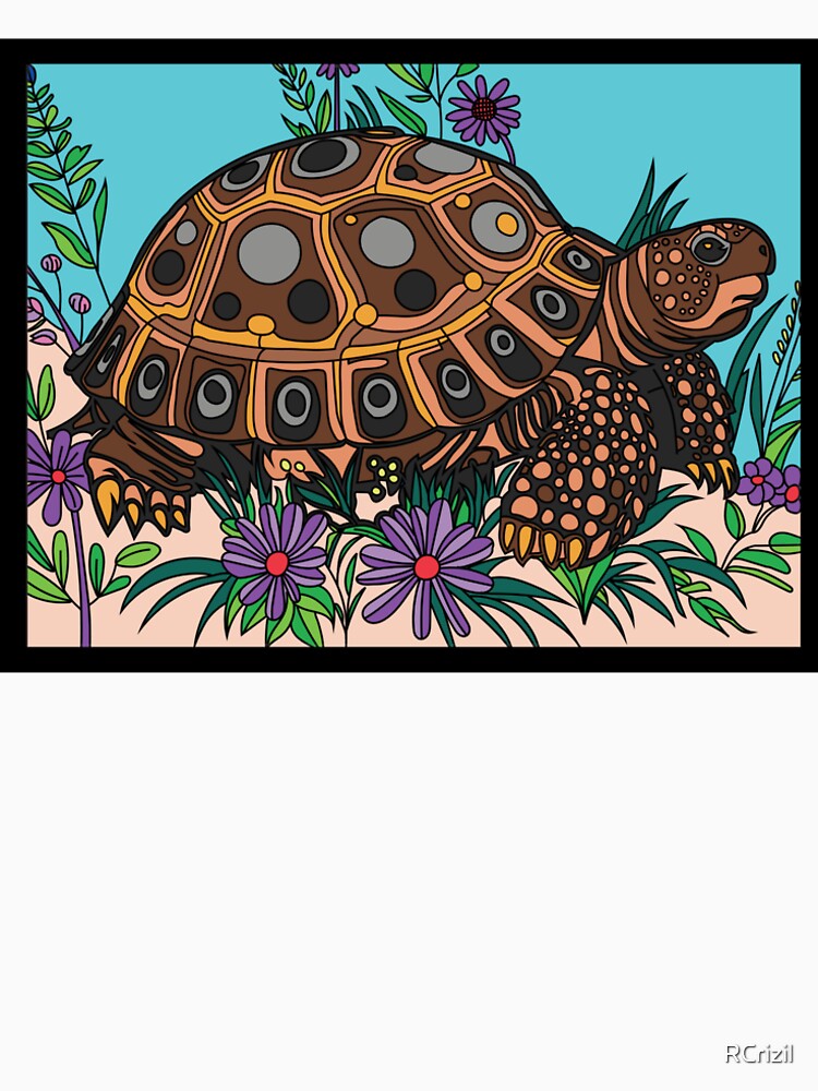Colorful Turtle by RCrizil