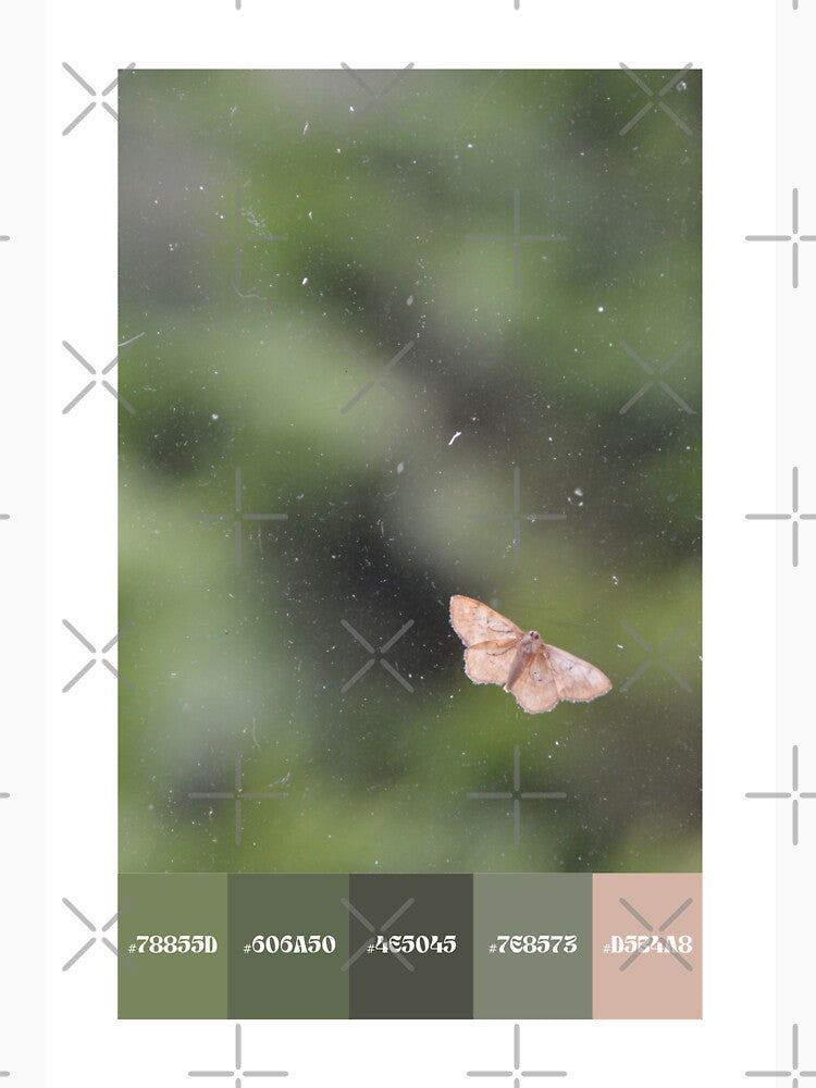 Moth on a Dirty Window Color Palette [Rectangles] by Tessia Photography
