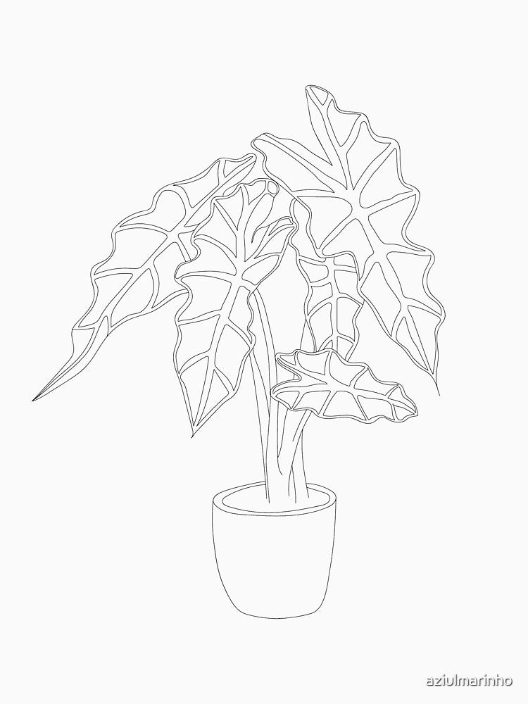 Alocasia elephant ear plant minimalist design line art by aziulmarinho