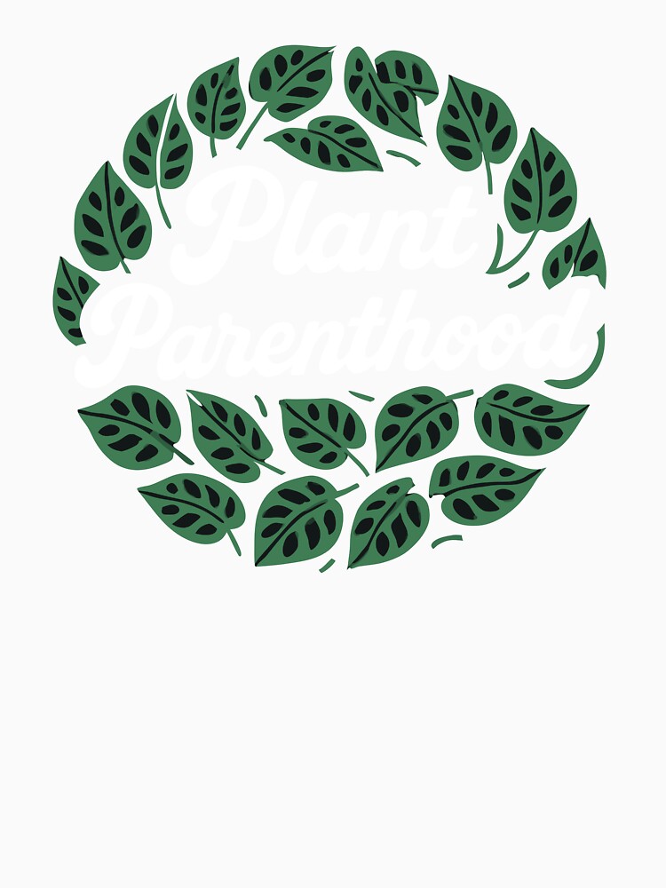 Plant Parenthood – Monstera Swiss Cheese Plant by Minimum-Rage