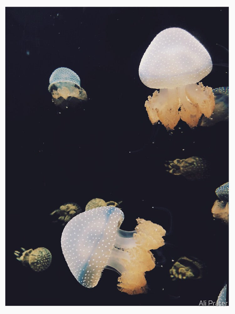 Jellyfish by Ali Prater