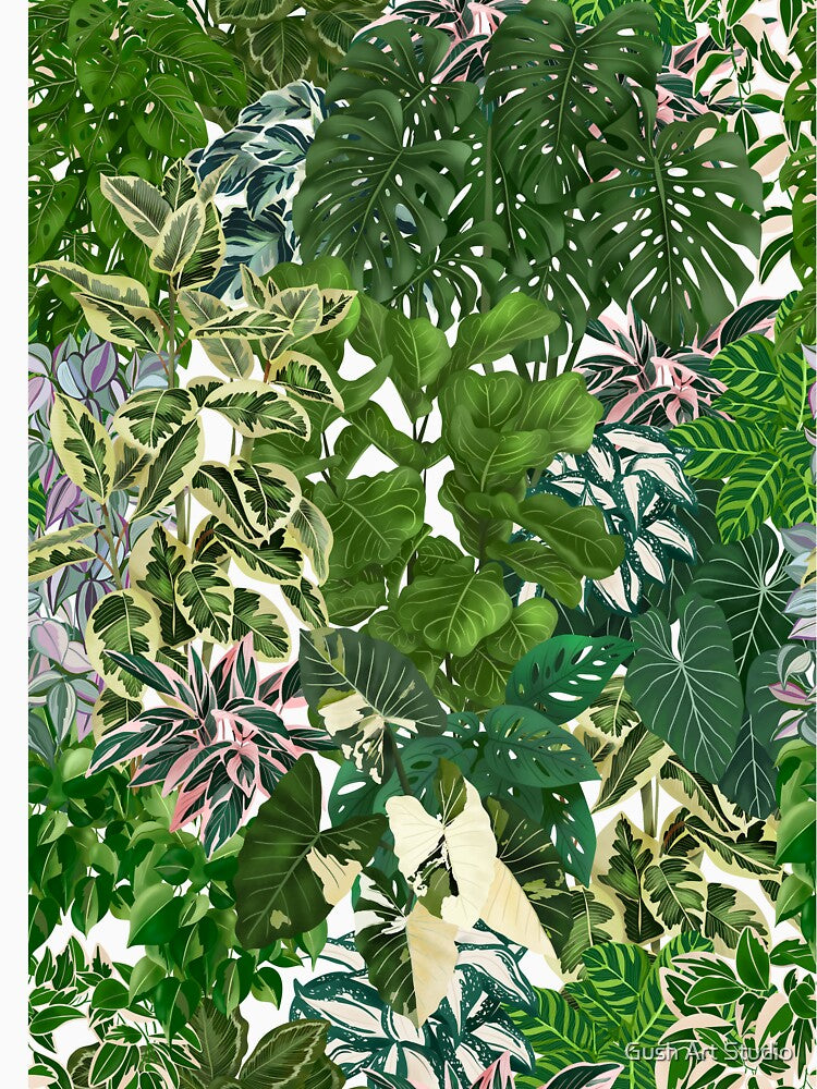 Urban Jungle House Plants Illustration 2 by Ana Moguš