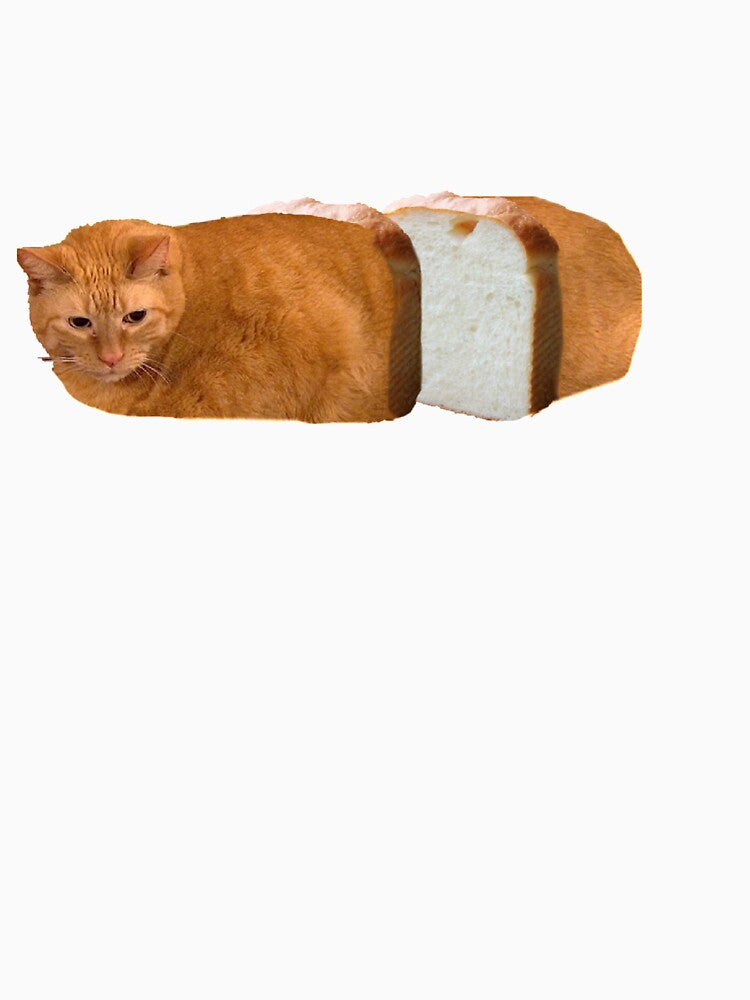 loaf cat by crazylazygirl