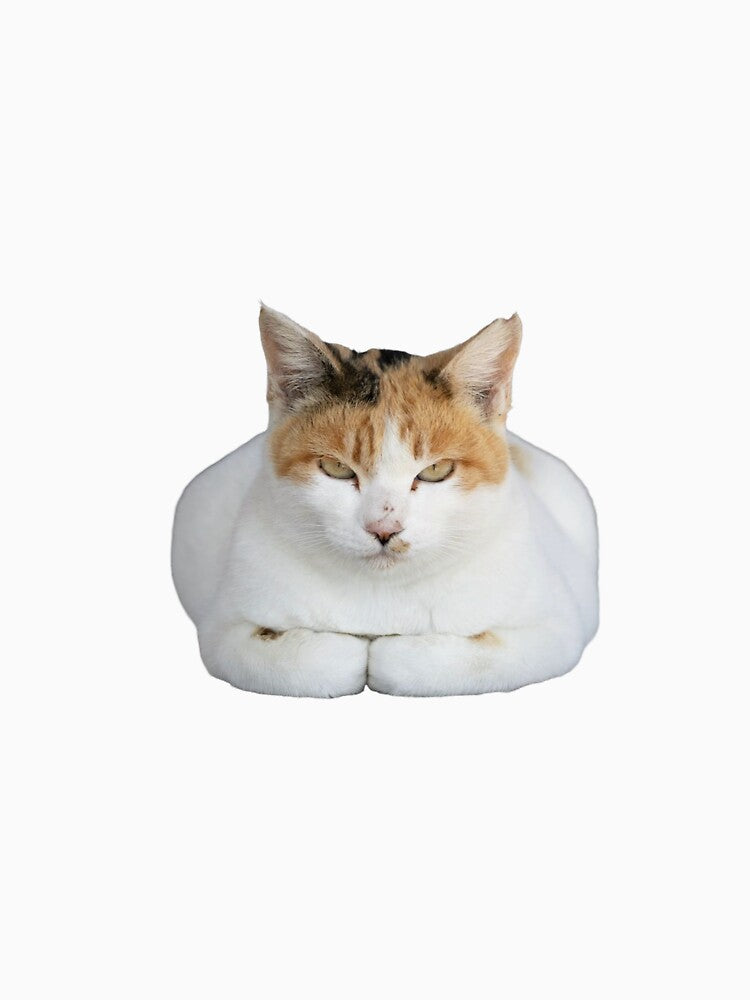 loaf mode cat by Agathepages
